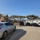 용두로 | [고양] 수제햄버거 <바그 서오릉 직영점> 내돈내산 후기