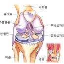 세찬한방병원 | [주안 재활치료] 무릎 수술 후 재활치료