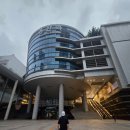 이디야커피 전북 임실점 | [전북 임실][25/10/09]임실N치즈 축제 기념 전국 남녀 궁도대회