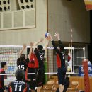 해적캡틴 이미지