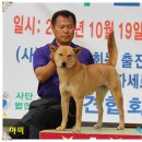 화수초등학교 이미지