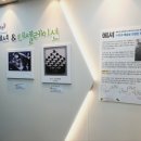 미래수