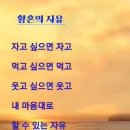 차한잔의 자유 Daum카페