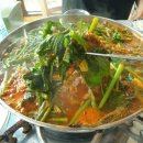 2023 제10회 연천 DMZ 국제음악제 <정전 70주년 기념음악회> | 연천 국화축제 송가인 연천맛집