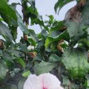 경섭농장 이미지