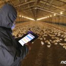 동우축산 이미지