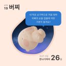 [버찌 35주 기록]임신후기 분유존 세팅 | 35주 데일리룩 | 임산부 일기 | 임신후기 가진통 번개통...