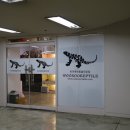 우수렙타일