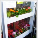 신영농장 이미지