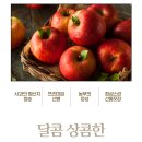 송송농원