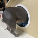 클라우스하우스