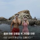 영진할인마트 - 여주시 강변유원지길 22-36 | 바다 해양생물 해루질 하기 좋은 성게가 많은 강원도 강릉 해수욕장