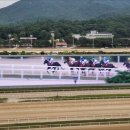 지사스포츠파크 이미지