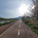 미음야구장 이미지