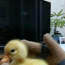 원농장1 이미지