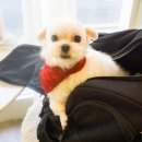 옹심이네살롱 이미지