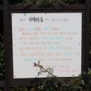 펜션 바다의 꿈 1 이미지