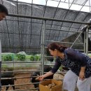 박순섭 농장 이미지