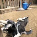 캄파슬로우캠핑장 이미지