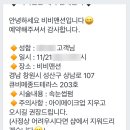 상남동256 이미지