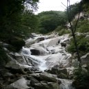 H8451 Daum카페