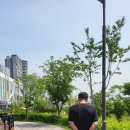 충주 대영힐스CC 라운딩후기 (2부 미사호수공원 맛집 / 인생객잔 / 미미곱창 / 골뱅이상회)