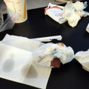 프라잇베리 이미지