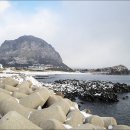 제주도올레 제10구간*하멜표류지용머리-마라도 잠수함-송악산(松岳山180m)*2,011.1.16.일* 이미지