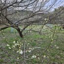 종합농장 이미지