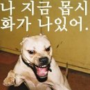 있어