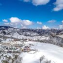 하우스봉봉 이미지