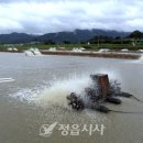 내수면양식 정읍시사