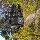 광흥창전철역 1번출구 이미지