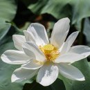 봉담호수공원 이미지