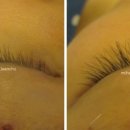 이미호아이래쉬 이미지