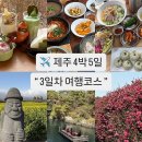 동백파출소 | 제주도 서귀포여행코스 맛집 오설록 쇠소깍 카약 휴애리