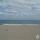 정동진1리 이미지