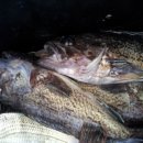 해양펜션 이미지