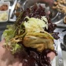 최셰프숯불닭신음점