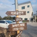 담은 스테이 | 제주도 감성숙소 귤한가 내돈내산 후기 - 자쿠지 숙소 숙박객은 무료 귤 체험 가능
