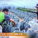 김복희농장 이미지