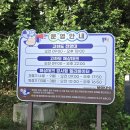 NR-3[평화로]-하-58 | 목포 1박2일 국내여행