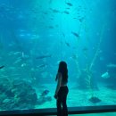 2월 제주도 종달리 5박 6일 여행 기록 (눈보라, 결항이슈, 해녀촌, 화성식당, 제주 아쿠아플래닛)