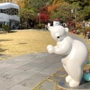 수원-0011 이미지