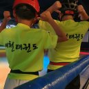 대산 태권도장 이미지