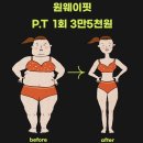 원웨이핏 이미지