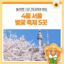 뮤지컬배우 양준모와 함께하는 ''영화속에서 만나는 클래식'' | 놓치면 1년 기다려야 하는 4월 서울 벚꽃 축제 5곳🌸