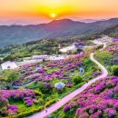 향토 농특산물 판매장 이미지