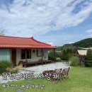 스테이시골 | [대전 근교 여행] 1박2일 뚜벅이 촌캉스, 시골감성 강청스테이 사랑채 방문 후기