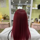 헤어두비취 이미지